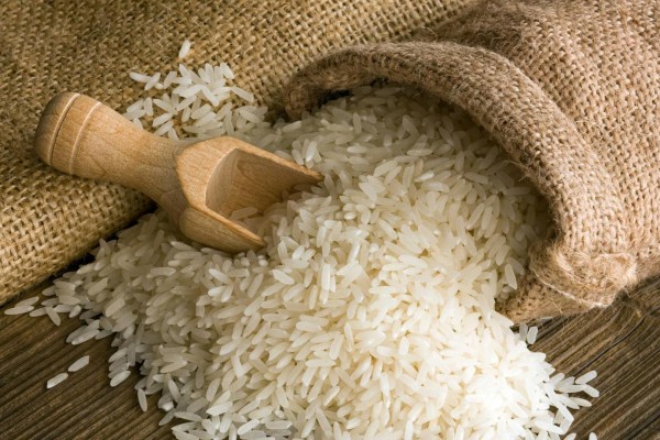 grano de arroz